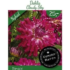 Blomsterhaven - Dahlia Cloudy Sky