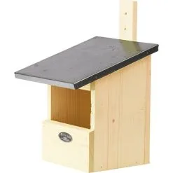 Bird Redekasse Til Rødhals