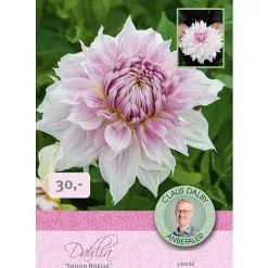 Claus Dalby - Dahlia Shiloh Noelle