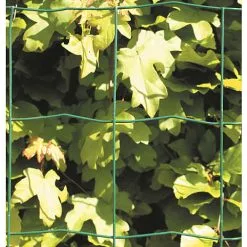 Hortus Havehegn – Grøn