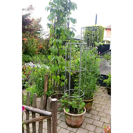 Claus Dalby Plantesøjle