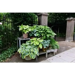 Claus Dalby Plantebord Til Betonfliser - Højt