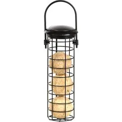 Bird Foderautomat Til Mejsebolde