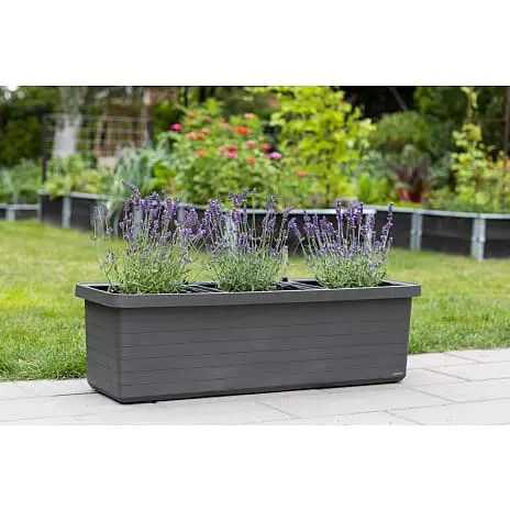 Pindstrup Trio Plantekasse Med Hjul - Antracit - Billede 2