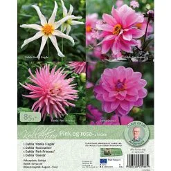 Claus Dalby Kollektion - Pink