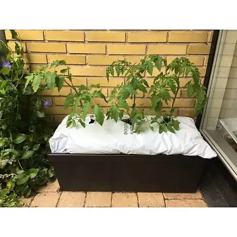 Homefarm Kapilærkasse - Billede 2