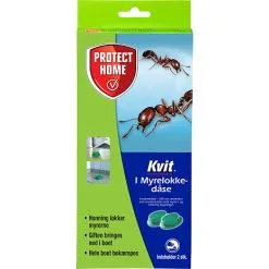 Protect Home Kvit I Myrelokkedåse