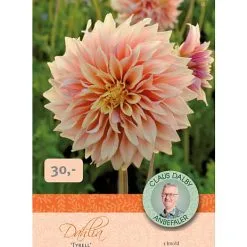 Claus Dalby Dahlia Tyrell