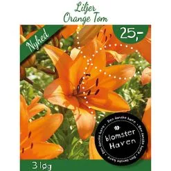 Blomsterhaven - Lilium Asiatic Orange Ton