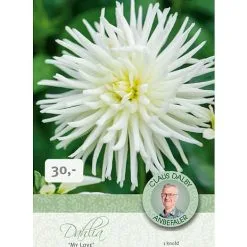 Claus Dalby - Dahlia My Love