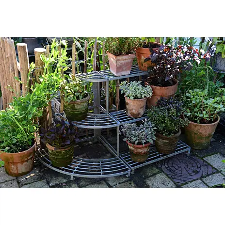 Claus Dalby Plantereol - Midtersektion