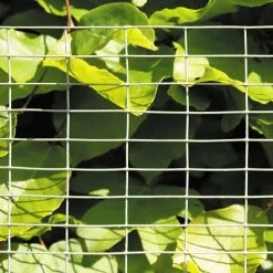 HORTUS Volierenet 12,5 X 25 Mm - Galvaniseret