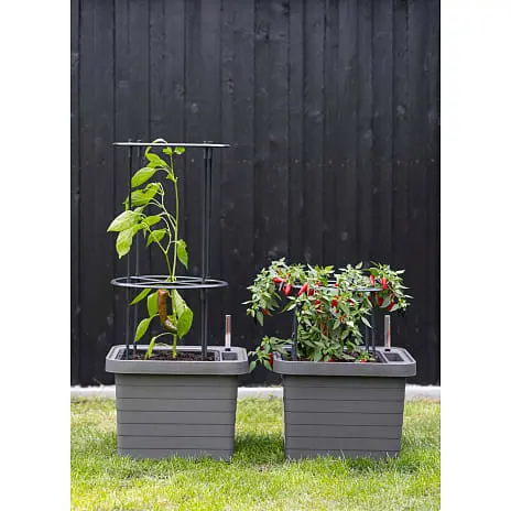 Pindstrup Selvvandingskasse Uno - Antracit - Billede 2