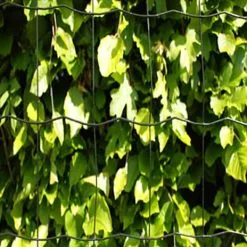 HORTUS Havehegn PVC-fri, 5 X 10 Cm, 80 Cm X 25 M - Sort