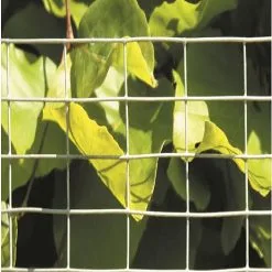 Hortus Voliernet Til Mus Og Rotter