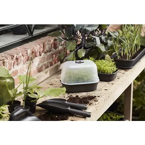 Elho Green Basics Vækstbakke Small - Sort - Billede 2