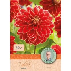 Claus Dalby Dahlia Maxime